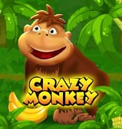 Crazy Monkey – удобный и функциональный слот